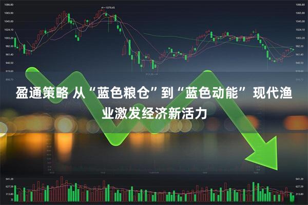 盈通策略 从“蓝色粮仓”到“蓝色动能” 现代渔业激发经济新活力