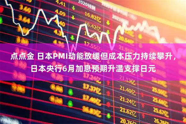 点点金 日本PMI动能放缓但成本压力持续攀升，日本央行6月加息预期升温支撑日元